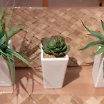 Le شقة كولمار